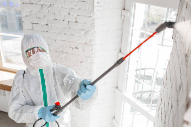 Best Biohazard Mold Removal  in Lake Orion, MI